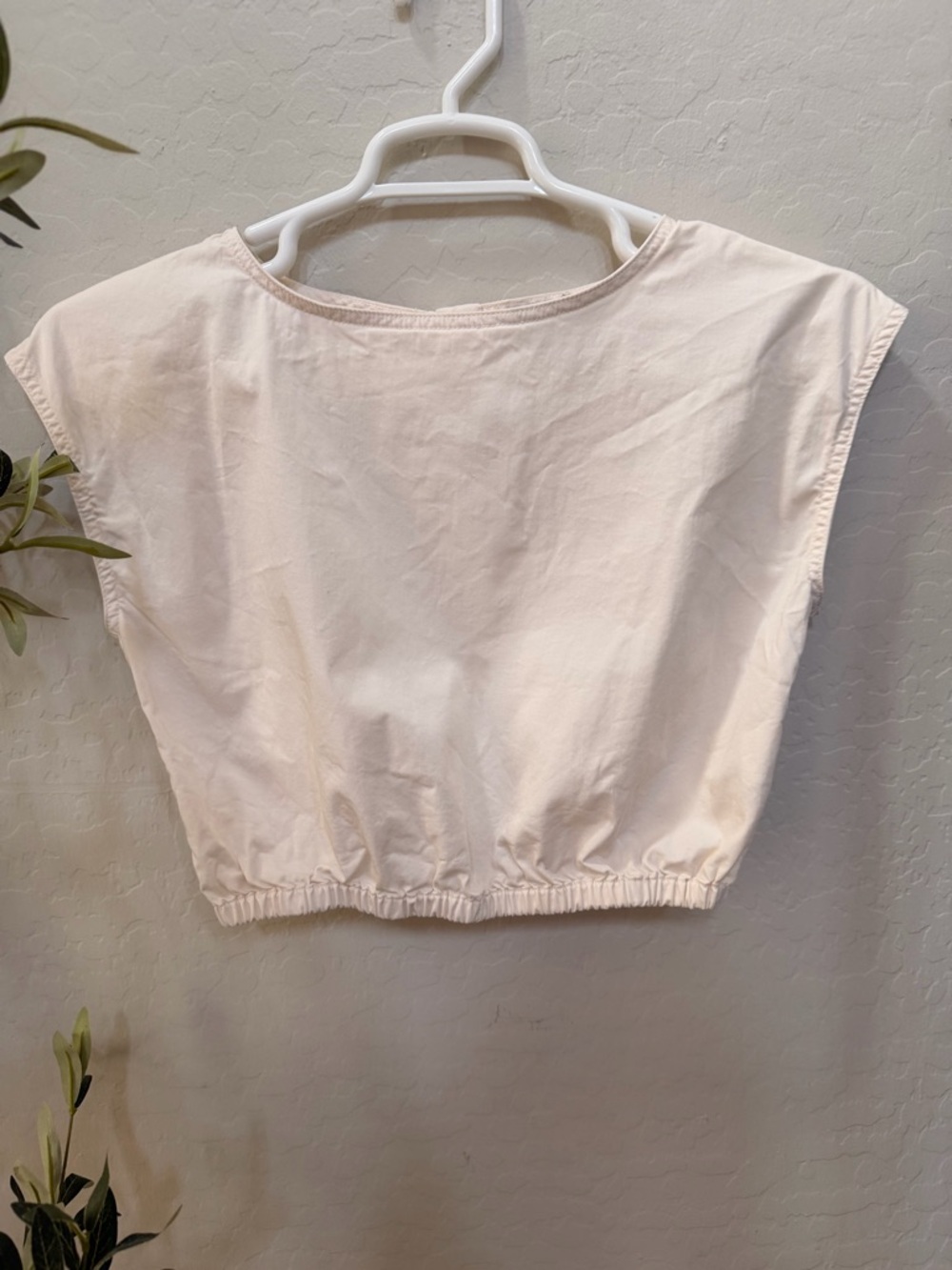 Everlane organic cotton Cream Cropped Elastic-Hem Top
